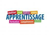 fotolia_70842257_logo_apprentissage