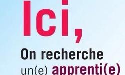 apprentis