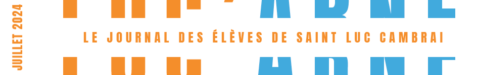 logo lucarne